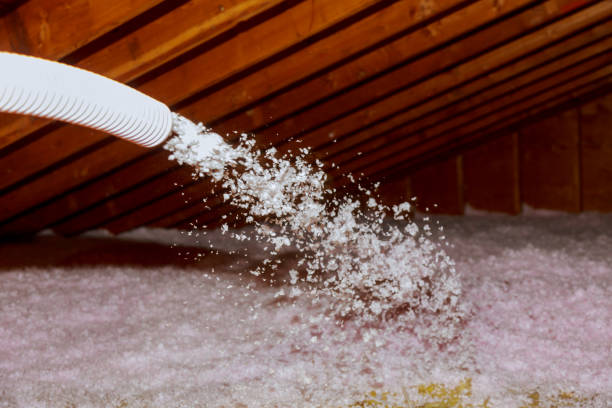 Best Affordable Insulation Services  in Bellevue, KY