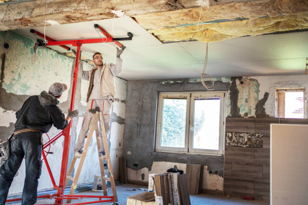 Best Wall Insulation Contractor  in Bellevue, KY