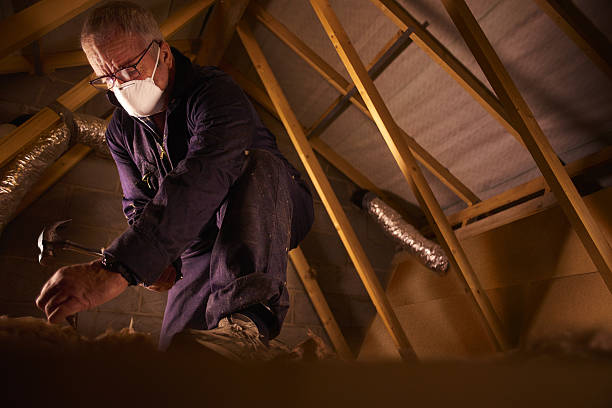 Insulation Repair Services in Bellevue, KY